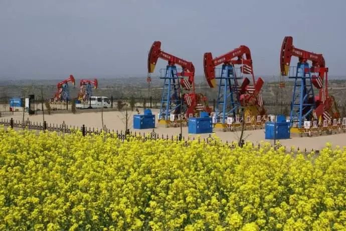 潛油電泵 潛油電泵